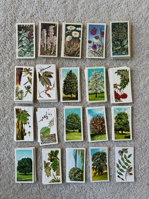 Vintage British Brooke Bond Tea Trade Cards: Wild Flowers and Trees in Britain