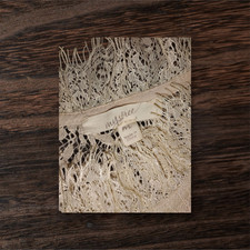 mystree sun dress with lace bodice and gauzy skirt.  size Medium