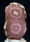 BANDED RHODOCHROSITE Mineral  Specimen Stalactite Section Cave Crystal ARGENTINA