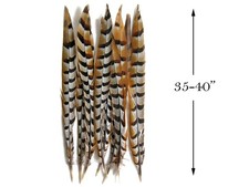 10 Pieces -Super Long Natural Venery Pheasant Tail 35-40" Carnival Costume Craft