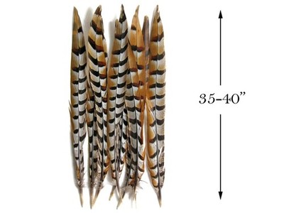 10 Pieces -Super Long Natural Venery Pheasant Tail 35-40'' Carnival Costume Craft