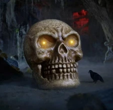 Home Accents Holiday 30 in. LED Haunted Skull NIB Retired Home Depot Halloween