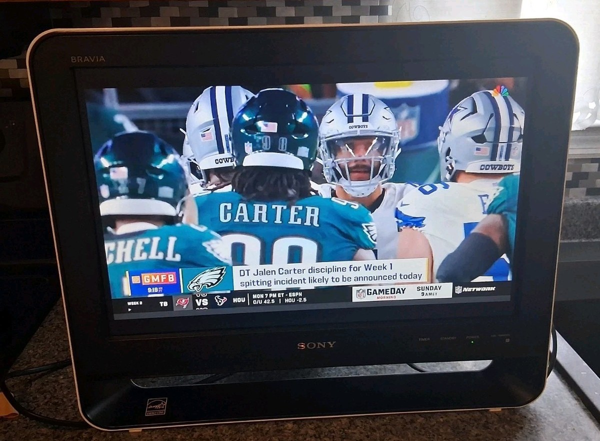 Sony Bravia 19