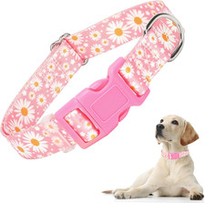 Girl Dog Collars with Daisy Patterns, Cute Pink Dog Collar for Puppy