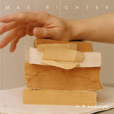 Max Richter Max Richter: In a Landscape (Vinyl) 12'' Album