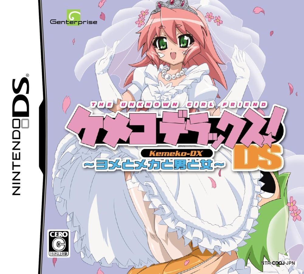 ニンテンドーDS - デカプリオ Nintendo DS Platinum Silver Console [EU] - Consolevariations