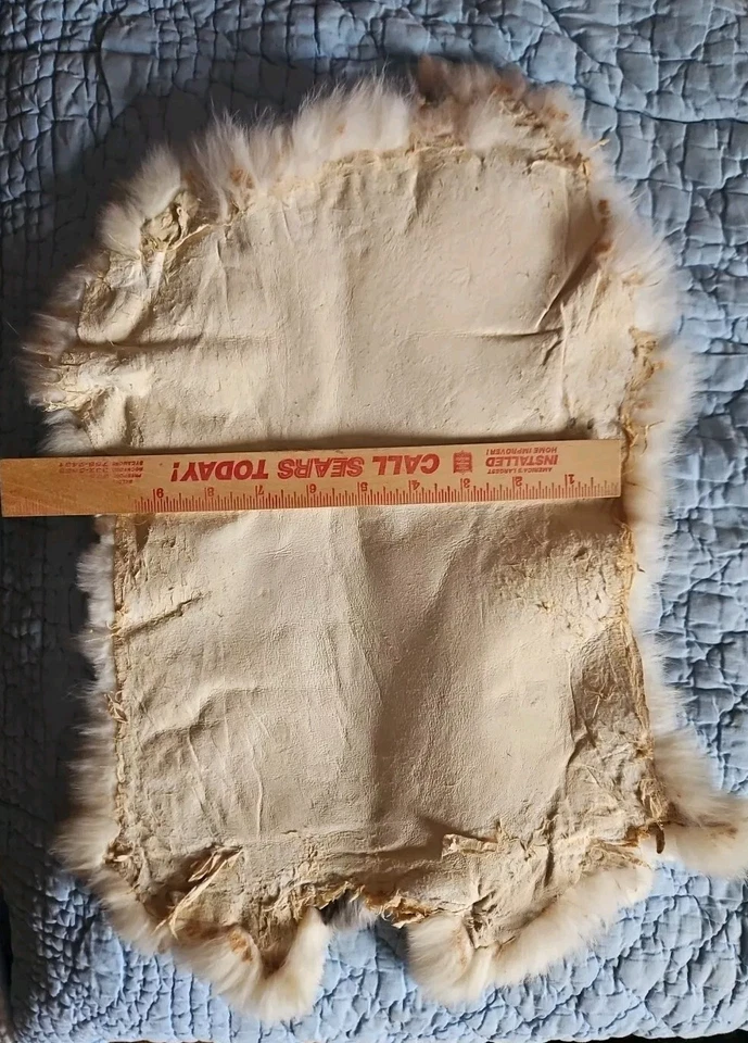 Piel de conejo natural blanco y marrón 14"x10" manualidades proyectos decoración EE. UU.  Foto 4 de 4