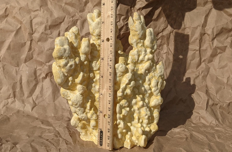 2~Pecera Coral Artificial Nuevo Foto 3 de 4