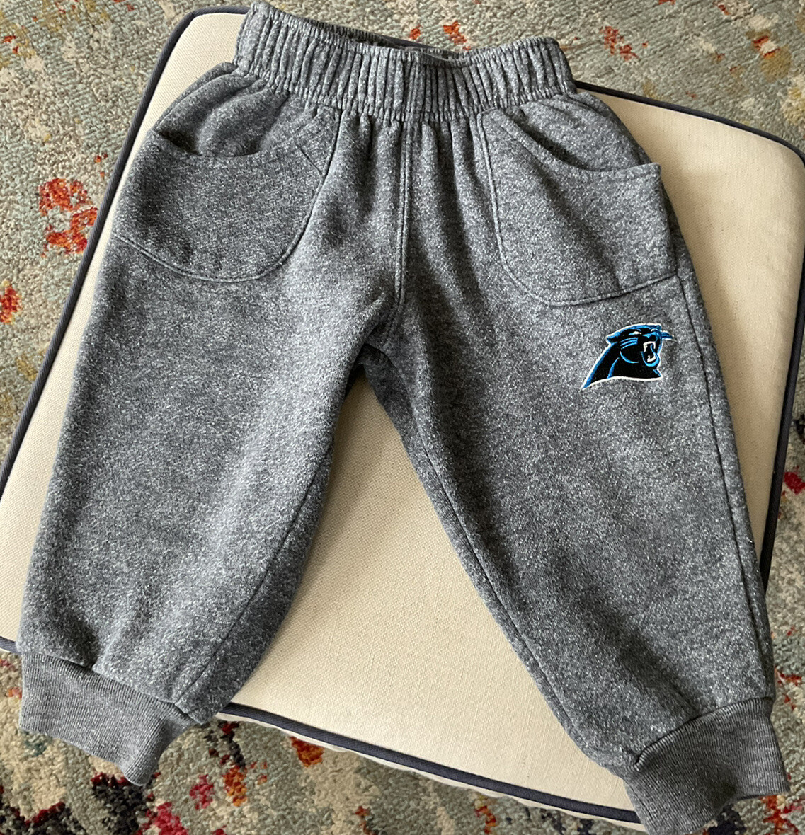 NFL Team Carolina Panthers jogging 