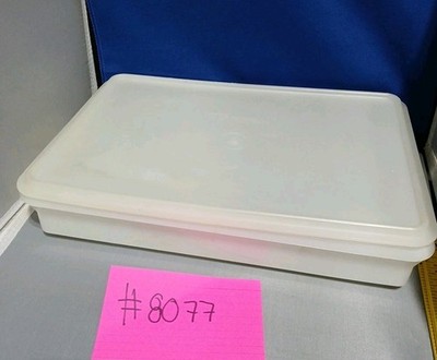 Vintage Tupperware 9x14 Sheet Cake Or Goodies  Container Very Good Seal! Sheer