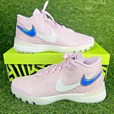 Nike Lebron NXXT Genius Men's Size 11.5 Pink Foam Basketball Shoes HF0712 602