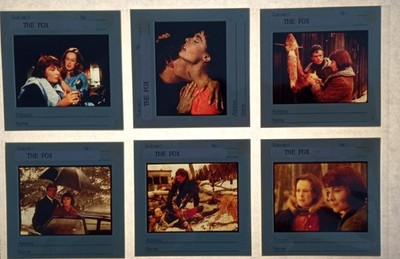 D282  6x Dias/Movie Slides (7x7 cm) THE FOX Anne Heywood, Sand Dennis