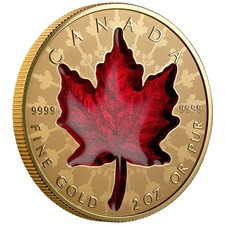 Goldm&uuml;nze Proud Maple mit roter Emaille 2024 - Kanada - Super Incuse - 2 Oz RP
