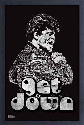 JAMES BROWN GET DOWN 13x19 FRAMED POSTER CLASSIC MUSIC ROCK FUNK