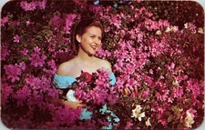 Azaleas World Bellingrath Gardens Mobile AL Alabama Postcard UNP VTG Dexter