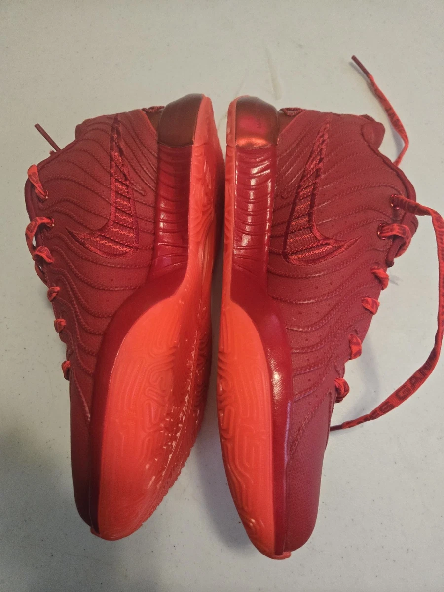 Las mejores ofertas en Nike LeBron 21 James Gang | eBay