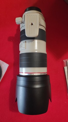 Canon EF 70-200mm f/2.8L IS II USM Perfetto, come nuovo. - Foto 8 di 10