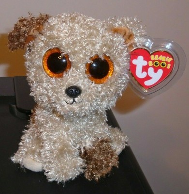 root beer beanie boo