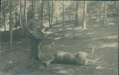 Ansichtskarte Erlegter Hirsch Jäger um 1909 Rückseite beschrieben Jagd