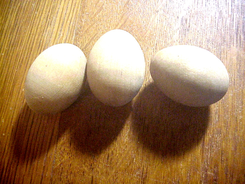 3  Antique PIGEON LAYING EGGS Wood DECOYS for Racing Pigeons