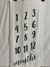 Mud Pie Kids Baby Milestone Swaddle Blanket Photo Pix Memory Prop 1st Year