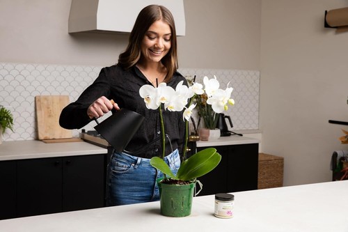 8 Assorted Clear Aeration Orchid Pots - 3 to 6 Inch Sizes for Thriving Orchids - Picture 5 of 11
