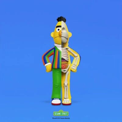 Mighty Jaxx Sesame Street Hidden Dissectible Series Blind Box