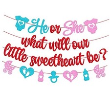 He or She What Will Our Little Sweetheart Be Banner Happy Valentines Day