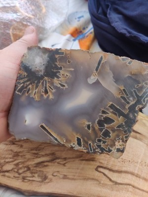 Large Agate With Amazing Patterns And Colour Has Only Had The Front Cut Beauty