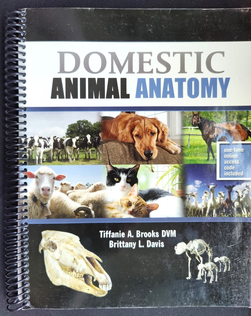 Domestic Animal Anatomy | eBay