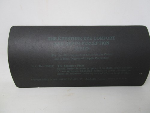 Keystone Eye Comfort and Depth Perception Series Stereoview Card Lot - Picture 7 of 13
