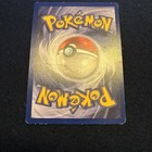 Foto 8 di 8