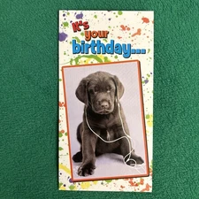 Leanin’ Tree Birthday Greeting Card “It’s Your Birthday…”