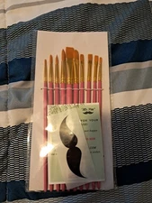 Best Model 10 Piece Paint Brush Set