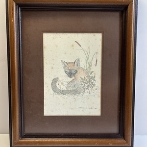Signed Bill Neal 1978 Pencil Drawn Print Cat? Fox? Cat Tails And Spider In Web