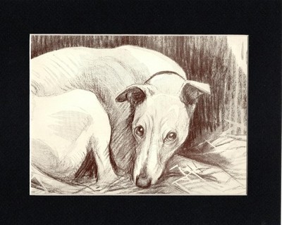 Vintage 1934 Whippet - CUSTOM MATTED - Dog Art Print - Scott Langley