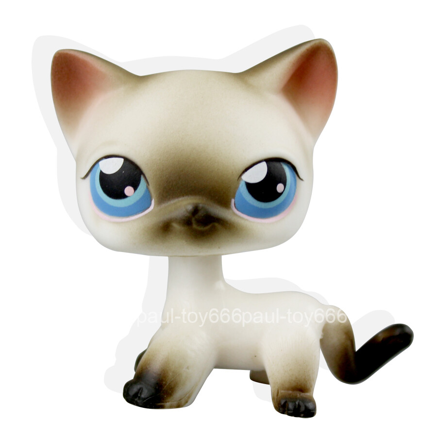 5 Rare Littlest Pet Shop Black White Short Hair Siamese Cat Blue