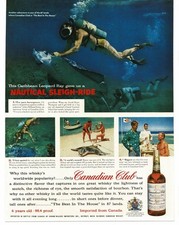 1956 Canadian Club Whiskey riding Caribbean Leopard Ray Jamaica Print Ad