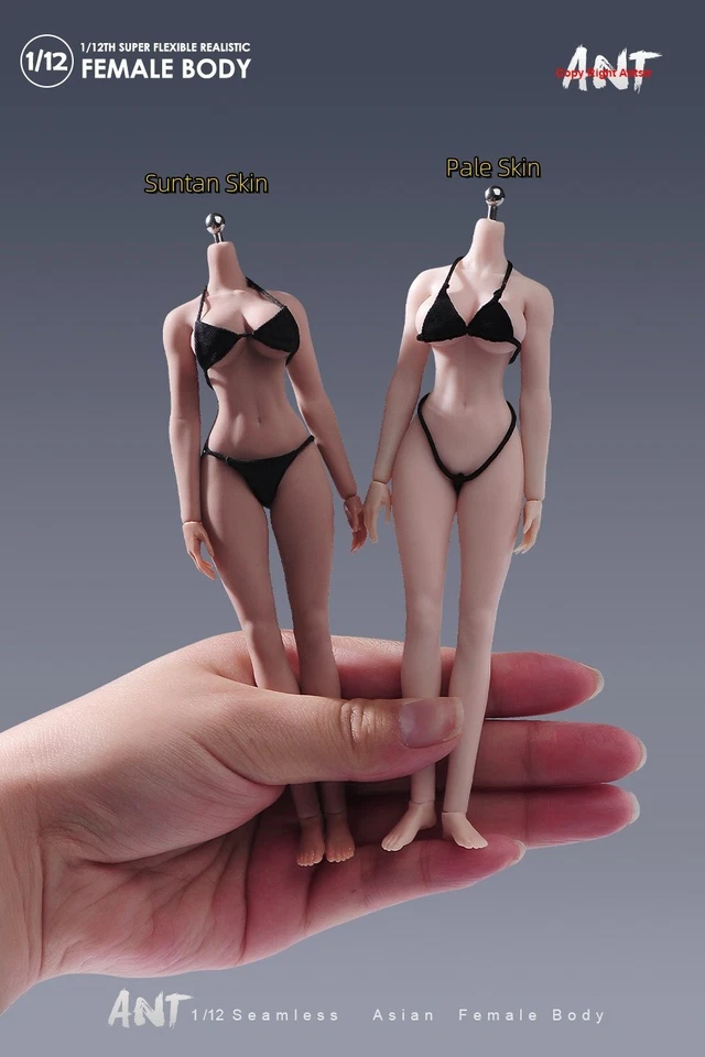 USA 1/12 Large Bust Breast Plump Hip Seamless Girl 6inch Female Figure Body Toys - Image 3 of 4