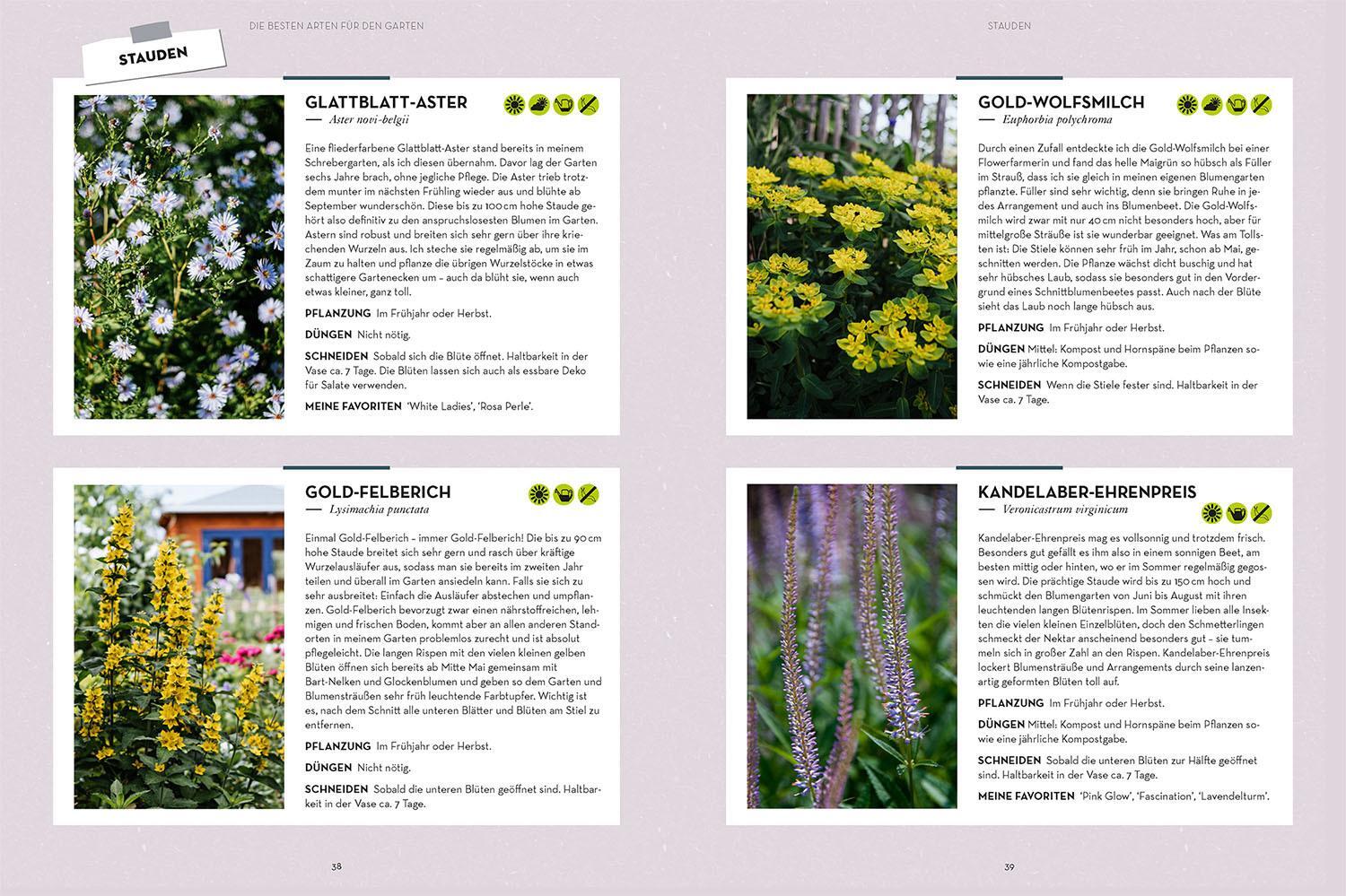 Thumbnail - Katharina Funk / Vom Garten In Die Vase / 9783440176696