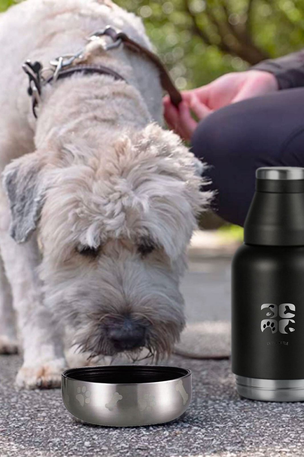 Dog Water Bottles Stainless Steel&nbsp; & Black Neoprene Case 32 oz