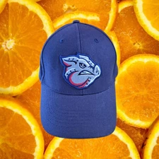 Leigh Valley Minor League Ironpigs  Bimm Ridder Adjustable Hat