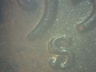 Bild 3 von 6