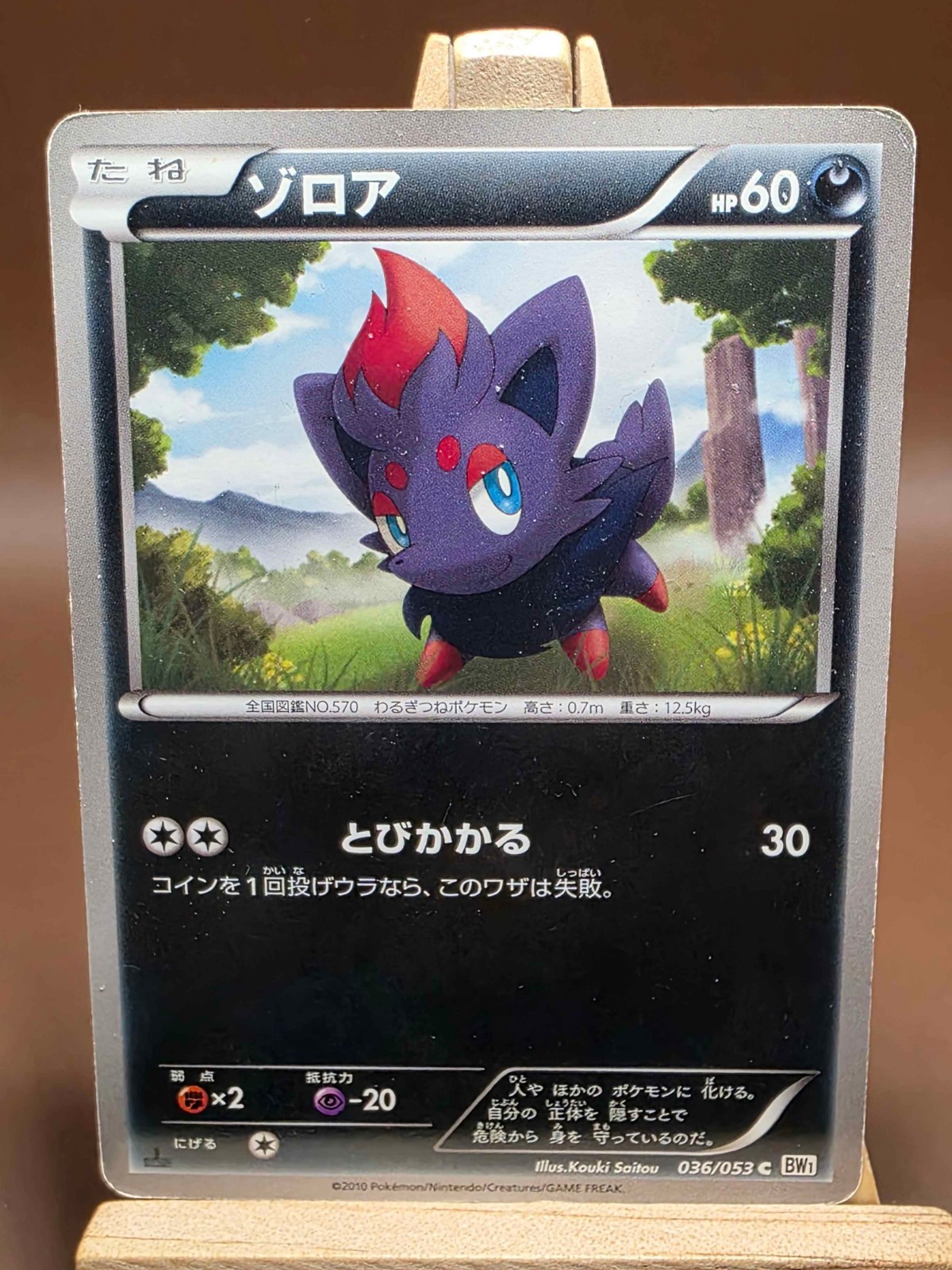 Zorua 036/053 Common White Collection Pokemon Japanese HP/DMG