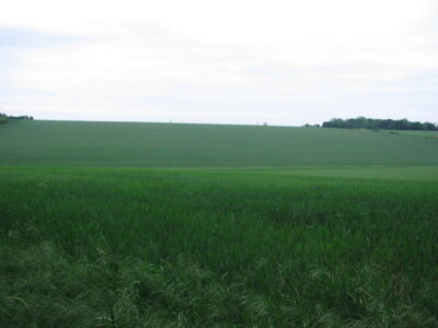 Foto 6x4 Mitte des Quadrats in How Wood due North. Damast Green North Poin c2007