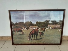 Quadro "Cavalli" Puzzle Incorniciato 