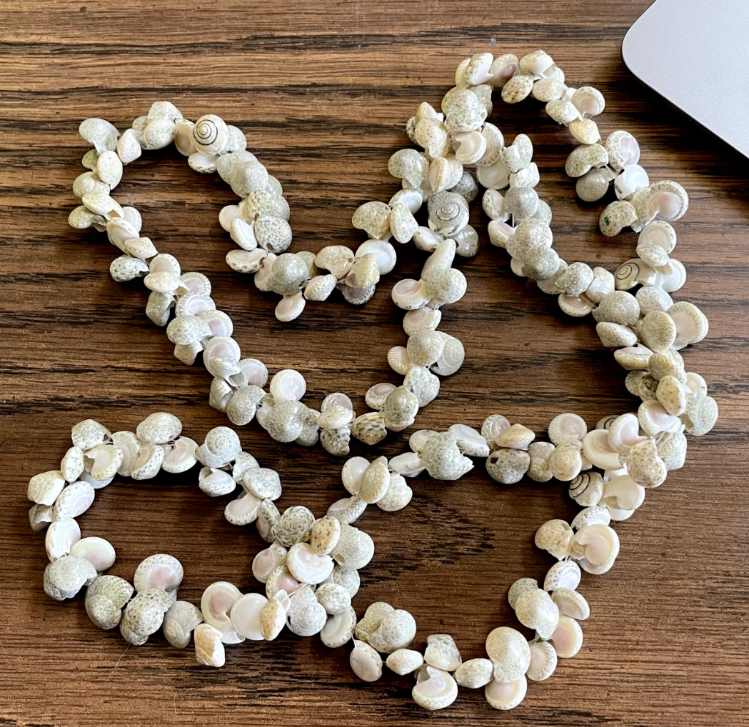 Vintage seashell best sale necklace