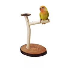 Parrot bird log natural branch desktop stand