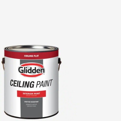 1 gal. High-Hiding White Dead-Flat Interior Ceiling Paint