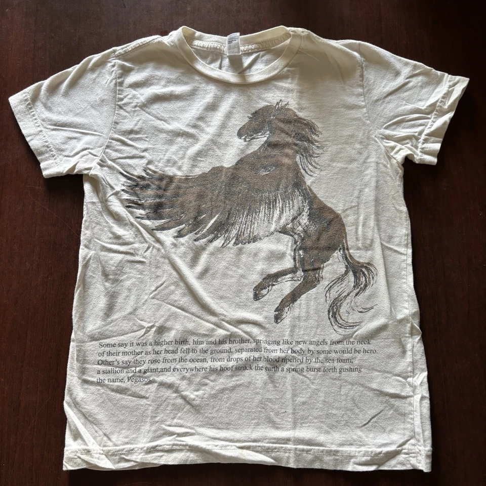 TOTALMENTE NUEVA Camiseta Jesse Lacey Kevin Devine Años 2000 Y2K De Colección Tu Gráfica PEGASUS Foto 2 de 4